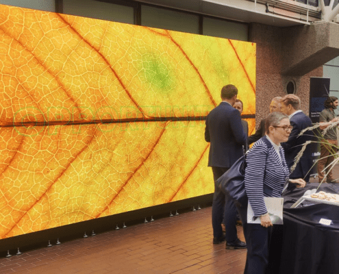 LED Wall at the Barbican Centre for Risilience