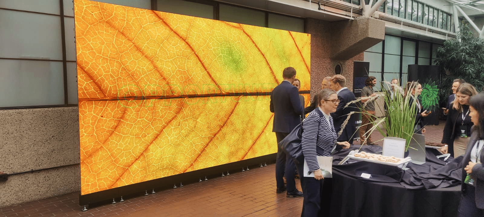 Risilience Case Study - Promultis Touchscreen Technology