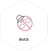 Bugs Interactive Table Game