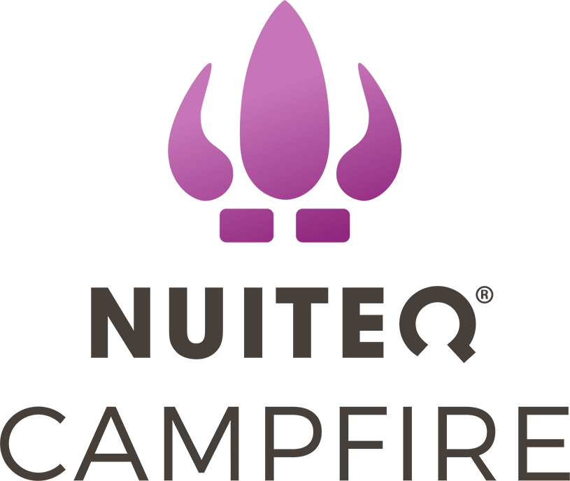 NUITEQ Campfire