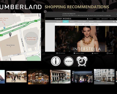 Shopping recommendation